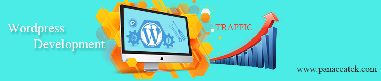 Get More Traffic by an Attractive WordPress Website Development