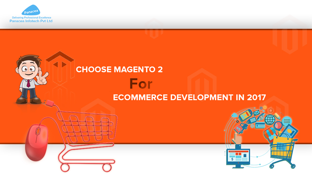 Magento eCommerce development company